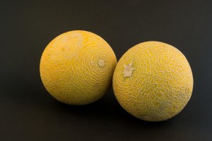 513532397_2e393c1900_z