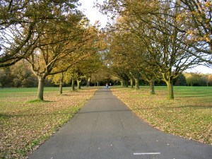 coronation-avenue-north-southampton-common-24021